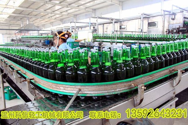 全自动红枣酵素饮料生产设备价格|酵素制作工艺