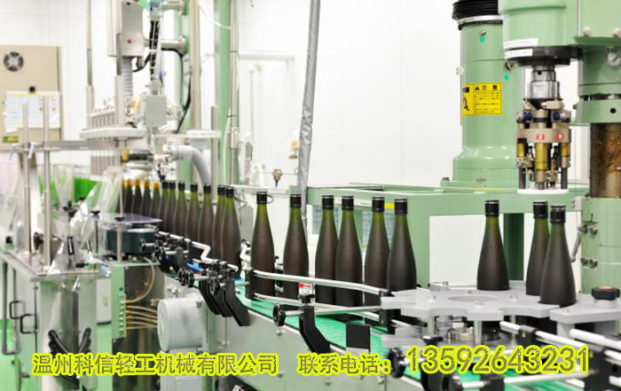 整套苹果酵素饮料生产线设备价格|全自动苹果酵素发酵设备厂家温州科信